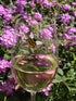 Magnetic Wine Glass Charms Set of 6 with Bee, Strawberry, and Flowers - Fun Drink Markers or Cocktail Identifiers