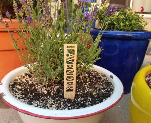 Set 12 Bamboo Herb Markers - of Beautiful Garden Labels - Sturdy Outdoor Garden or Potted Herb Markers
