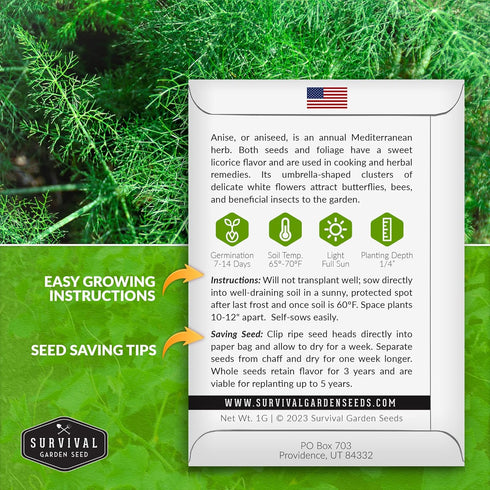 (1 Pack) Anise Seeds for Planting - Sweet Anise Herb (Pimpinella anisum) - Culinary and Tea Garden Variety, Heirloom