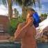Beer Mug - Blue