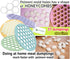 Russian Ravioli Maker Dumplings Mold - Pelmeni Plastic Mold for Siberian Pelmeni Meat - Dumpling Maker Machine