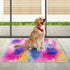 2x3 ft Small Throw Rugs, Furry Non Slip Mini Area Rug, Fluffy Tie-Dyed Rainbow Carpet for Bedroom Door Entryway Decor