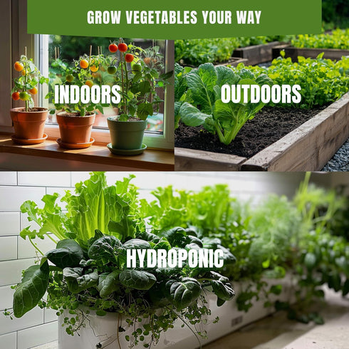 Pack 20 3900+ Vegetable Seeds Variety Tomato, Cucumber, Zucchini, Lettuce, Broccoli & Cabbage Varieties, Non-GMO
