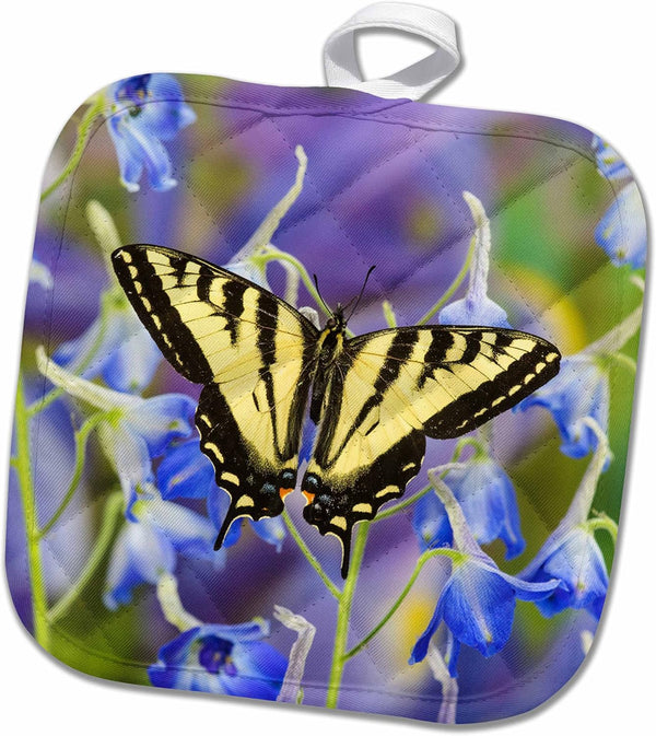 3D Rose Male Western Tiger Swallowtail Butterfly Pot Holder - 8 x 8