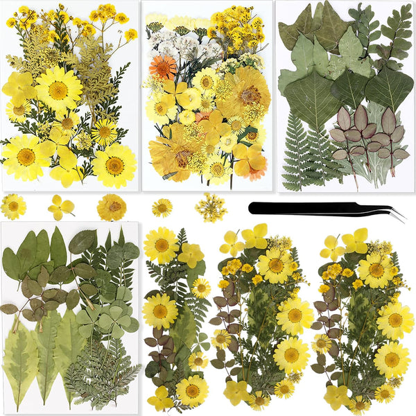 BIHRTC 100PCS Dried Pressed Flowers, Assorted Real Dried Leaves for Resin Scrapbooking DIY Candle Accessories