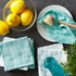 DII Aqua Basic Terry Collection Windowpane Dishcloth Set, 12x12, 6 Piece