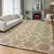 ONASAR 5x7 Area Rugs for Living Room Bedroom, Fluffy Beige and White