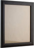 Craig Frames Contemporary Picture Frame, 8 x 12 Inch, Brazilian Walnut Brown