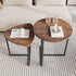 HOJINLINERO Set 2 Round Coffee Table of End Tables for Living Room,Black Small Coffee Table Living Room Table,Metal