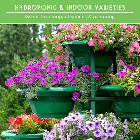 20 Hydroponic & Indoor Garden Seed Kit Compact Heirloom Vegetable & Herb Varieties | Apartment, Small-Space, Patio