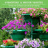 20 Hydroponic & Indoor Garden Seed Kit Compact Heirloom Vegetable & Herb Varieties | Apartment, Small-Space, Patio