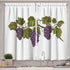 Lunarable Wine Grapes Kitchen Curtains - 2 Panel Set for Kitchen Cafe Decor, Fresh Purple Fruits on White Backdrop