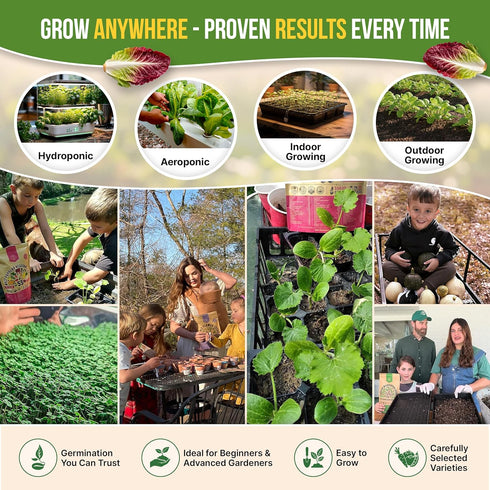 22 Pack 24,700+ 2026 Organo Republic Lettuce & Salad Greens Seeds Variety Non-GMO Heirloom Lettuce Seeds for Indoor