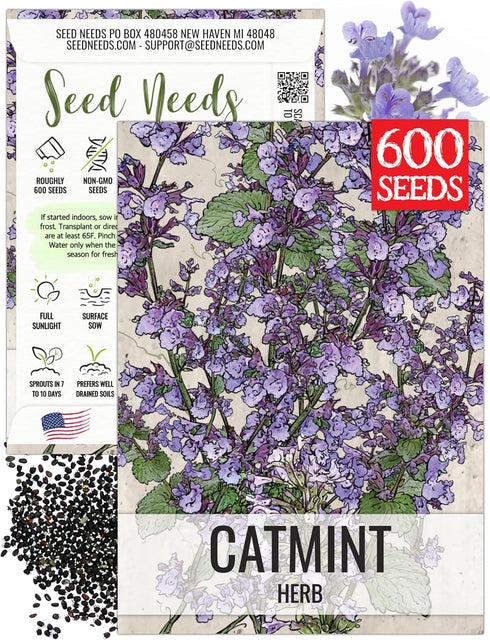 Seed Needs Catmint Seeds for Planting an Indoor/Outdoor Herb Garden - Non-GMO