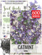 Seed Needs Catmint Seeds for Planting an Indoor/Outdoor Herb Garden - Non-GMO