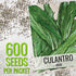 (1 Pack) Seed Needs Culantro Seeds for Planting Mexican Coriander - Non-GMO Heirloom & Untreated Culinary/Medicinal