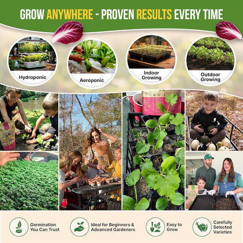 10 Pack 13000+ Organo Republic Lettuce & Salad Greens Seeds Variety Non-GMO Heirloom Lettuce Seeds for Planting Indoors