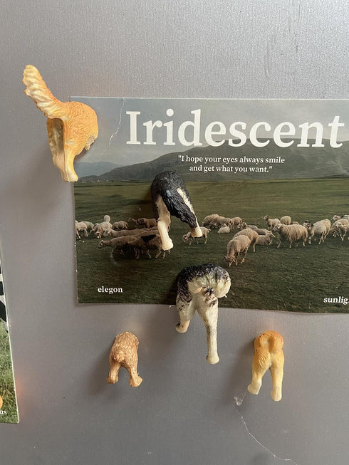 8Pcs Dog Butt Magnets, Funny Refrigerator Magnets for Home, Perfect for Adults or Kids (Dog Butts)