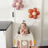 1st Daisy Garland Highchair Banner - Birthday Party Decorations,Girl Birthday Decor Cake Smash,Tassel Daisy One High