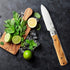 SENBON 440A Stainless Steel Ultra Sharp Pocket Folding Japanese Peeling Utility Knife, Natural Olive Handle