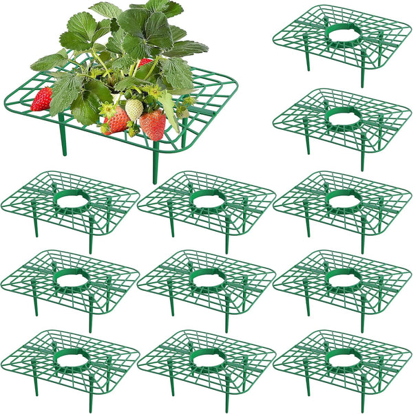 Iceyyyy 12 Packs Square Strawberry Supports-Strawberry Growing Racks- Plant Support Strawberry Stand Holder