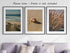 Sandy Beach Landscape Set of 3 Unframed Wall Prints, Coastal Ocean Waves and Beach Path Posters for Home Decor (8x10)