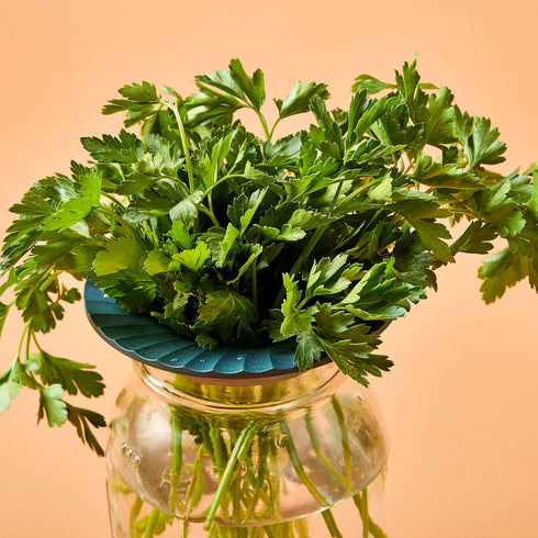 2 2 Pack Modern Sprout Produce Keeper for Fresh Herbs & Greens - Eco-Friendly, BPA-Free, Sustainable Materials