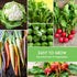 8 Packs Pack Fall & Winter Vegetable Seed Collection of Non-GMO Heirloom Seeds for Planting Vegetables | Autumn