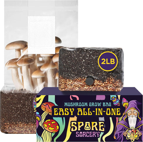 SPORE SORCERY 2 LB All-in-One Grow Bag: Up to 16oz of Mushrooms!