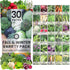 Fall & Winter Seed Variety Pack | 30 Invidiual Packs | 2026