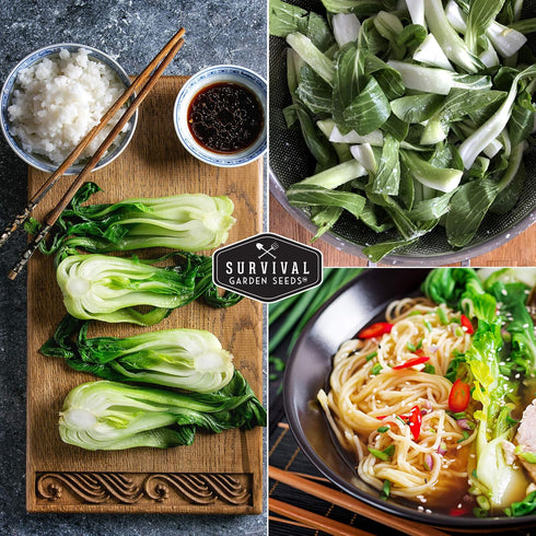 2 Packs Survival Garden Seeds - Canton White Stem Pak Choi or Bok Choy Seed for Planting - with Instructions to Grow
