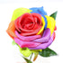 Ooki 12 Long Stem Artificial Silk Rainbow Rose Flower Bush Bouquet for Home Decor
