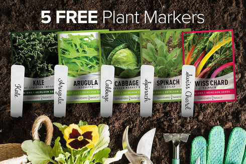 Packets Pack 5 Gardeners Basics Power Greens Seeds for Planting Individual - Arugula, Spinach, Swiss Chard, Kale