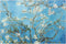 Van Gogh Design Tempered Glass Cutting Board for Kitchen, Small Heat Resistant (8x12 inches)