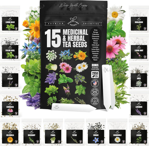 Medicinal Herb Seeds Variety Pack Calendula, Echinacea, Lemon Balm, Hyssop & Lovage