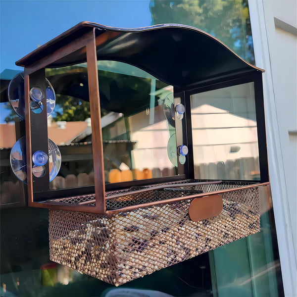Window Bird Feeder, Metal Bird Feeder with Wide View, Strong Suction Cups, Wild Bird Feeders for Bird Watching Gifts