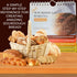 Chestnut Hill Originals Sourdough Bread Baking Quick Reference Guide Beginner-Friendly Sourdough Tools, Timelines