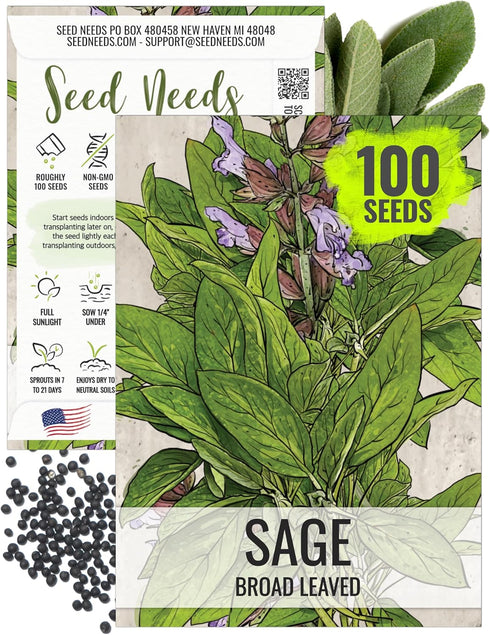 Seed Needs Sage Seeds for Planting Broad Leaved Herbs - Non-GMO Heirloom