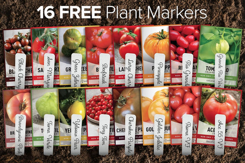 16 Pack Gardeners Basics, Tomato Seeds for Planting Variety Heirloom Tomato Seeds, Tiny Tim, Cherry Tomato Seeds