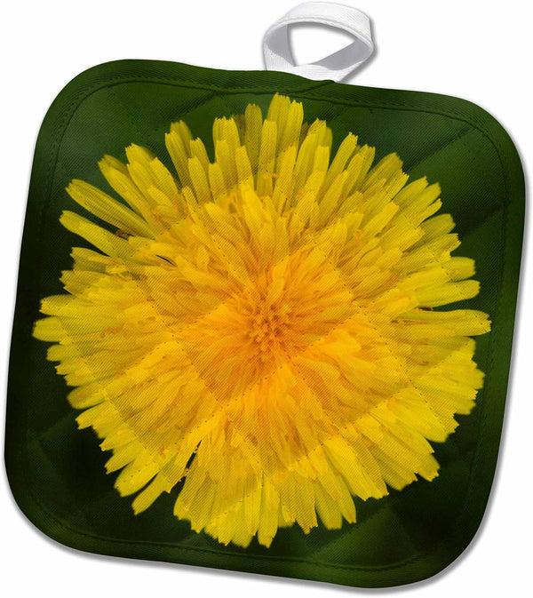 3D Rose Wa-Redmond-Dandelion-Sunflower Family Pot Holder, 8" x 8" - Us48 Jwi2154, Jamie and Judy Wild