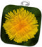 3D Rose Wa-Redmond-Dandelion-Sunflower Family Pot Holder, 8" x 8" - Us48 Jwi2154, Jamie and Judy Wild