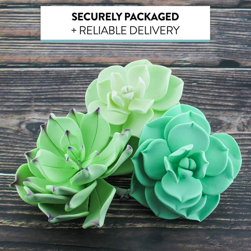 Set 3 Global Sugar Art Succulents Sugar Cake Flowers, of by Chef Alan Tetreault