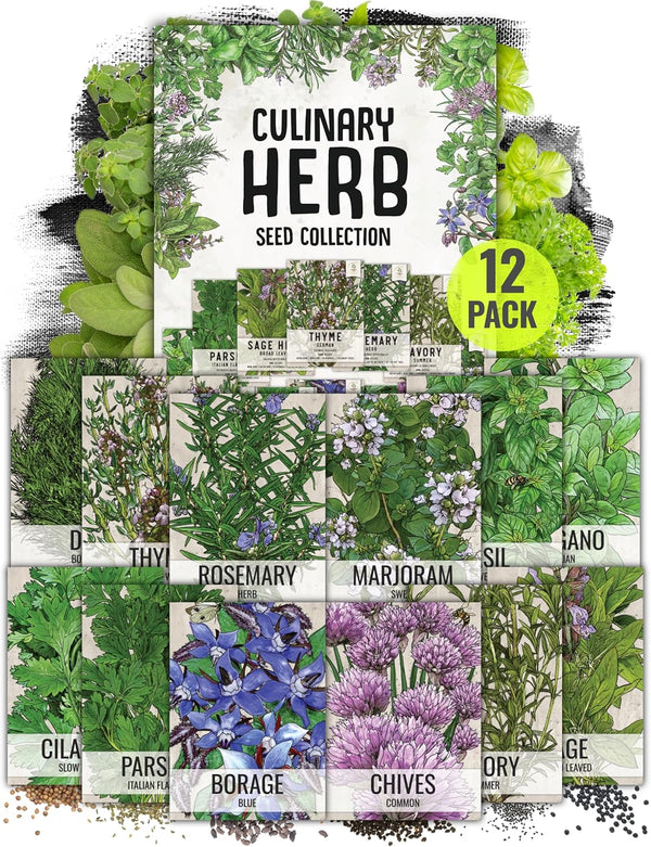 Seed Needs Herb Seeds Variety Pack Culinary Herb Collection (12 Individual Packets