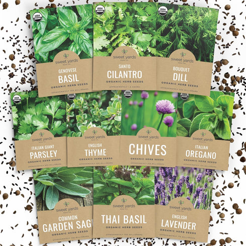 Organic Herb Seeds Variety Pack - 10 Individual Packs - 2026 Season