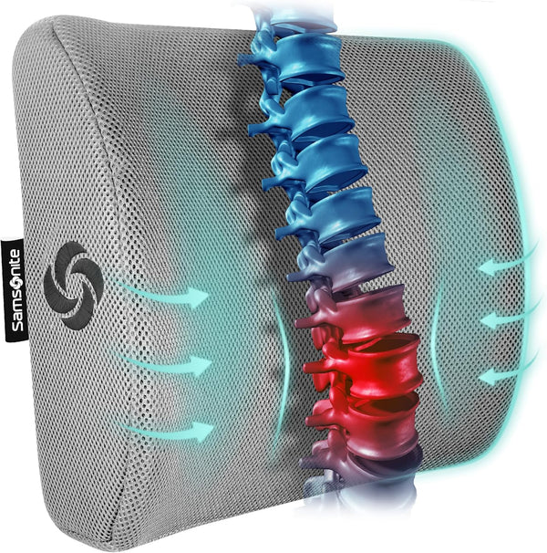 SAMSONITE Lumbar Support Pillow for Office Chair and Car Seat, Memory Foam, Gray