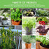 20 Hydroponic & Indoor Garden Seed Kit Compact Heirloom Vegetable & Herb Varieties | Apartment, Small-Space, Patio