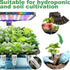 SZLJYLM 60 Pack, Grow Sponges Hydroponics Replacement Root Growth Sponges Compatible with Aero Garden iDOO and Most