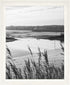 MCS Museum Poster Frame 16x20, White Woodgrain, Vertical & Horizontal Wall Hanging for Photos & Art Prints