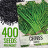 Common 2 Packets) Seed Needs Chive Seeds for Planting Garlic & Chives Herbs - Non-GMO Heirloom & Untreated Garden Seed
