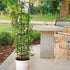 6.7FT Plants,81Metal Garden Obelisk Trellis for Climbing Plant Support Tower,Heavy Duty Thickened Tube,Rustproof Black